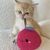 Pet Planet Jouet pour chat en bois de tatarin