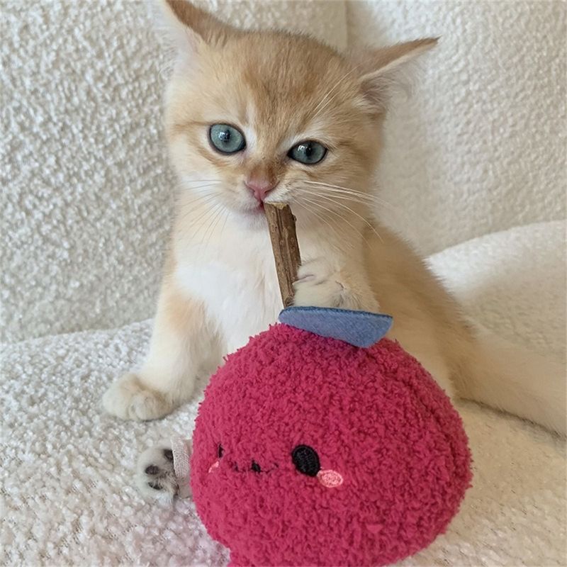 Pet Planet Jouet pour chat en bois de tatarin