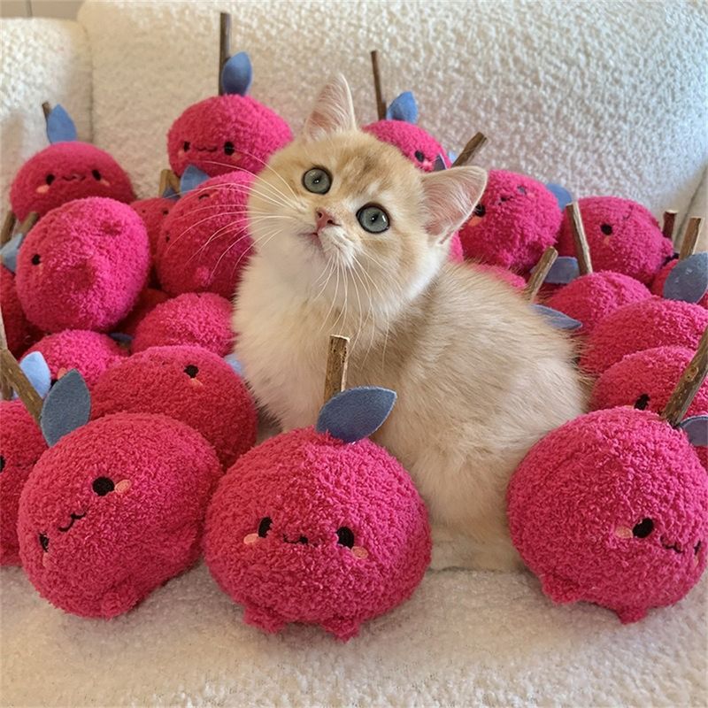 Pet Planet Jouet pour chat en bois de tatarin