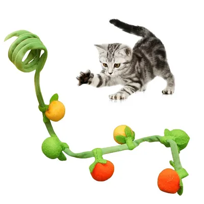 Pet Planet Jouet pour chat en forme de légume avec catnip