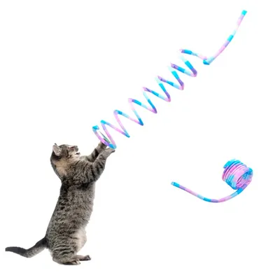 IntiMeg Jouet élastique en bandes arc - en - ciel pour chat IntiMeg Jouet élastique en bandes arc - en - ciel pour chat