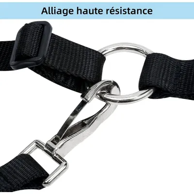 ZooVenture Muselière Pour Chevaux Au Pâturage