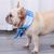 Pet Planet Écharpe froide en gel pour animaux de compagnie