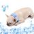 Pet Planet Écharpe froide en gel pour animaux de compagnie