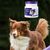 Pet Planet Complément alimentaire Calm Chews