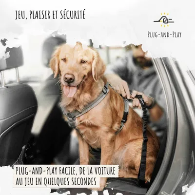 Rudelkönig Ceinture de sécurité pour chiens voiture