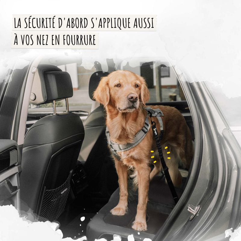 Rudelkönig Ceinture de sécurité pour chiens voiture