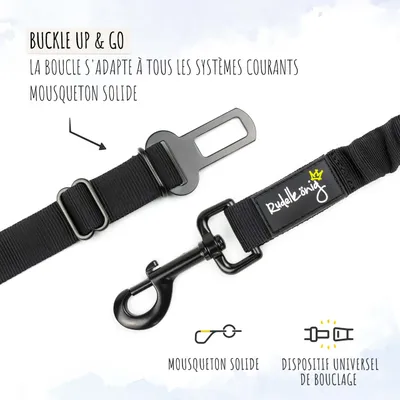 Rudelkönig Ceinture de sécurité pour chiens voiture