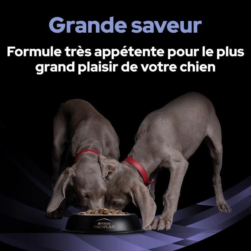 PROPLAN - Fortiflora Bouchées Chien - Purina Pro Plan