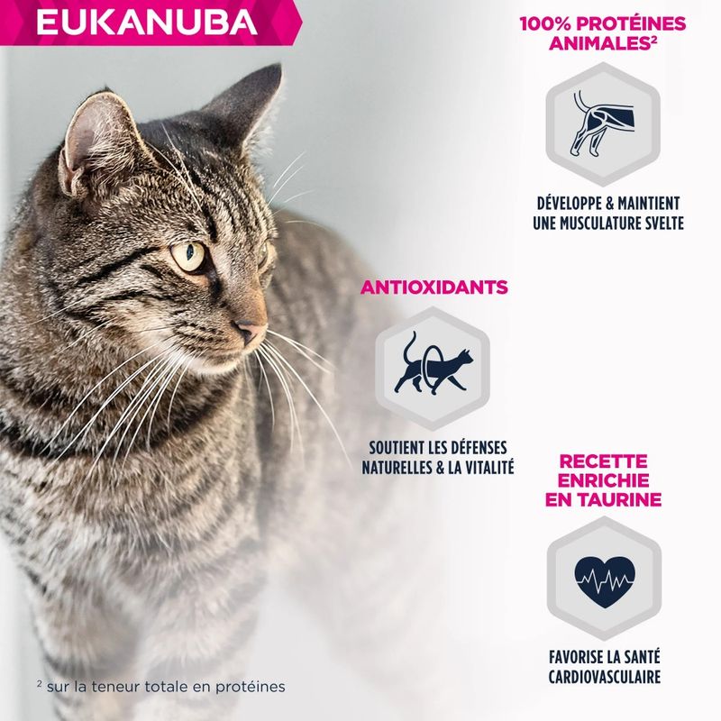EUKANUBA - Eukanuba - Chat Adulte - Sans céréales - pâtée Agneau