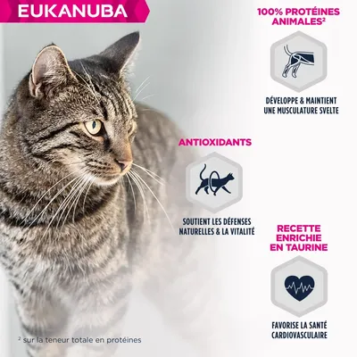 EUKANUBA - Eukanuba - Chat Adulte - Sans céréales - pâtée Agneau