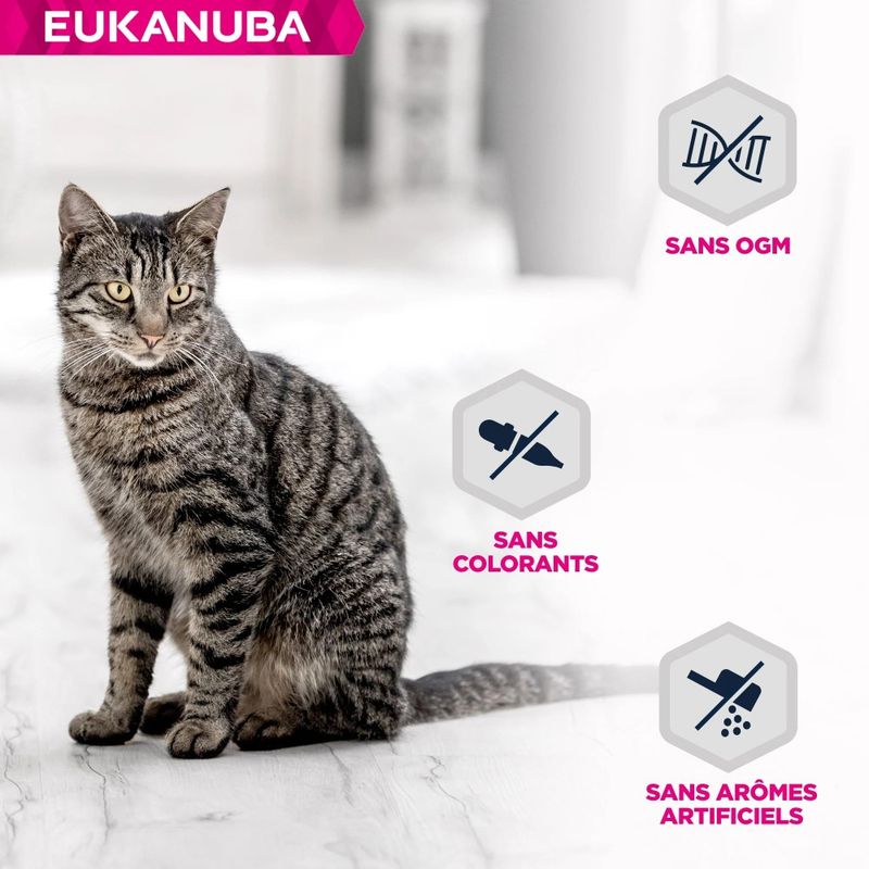 EUKANUBA - Eukanuba - Chat Adulte - Sans céréales - pâtée Agneau