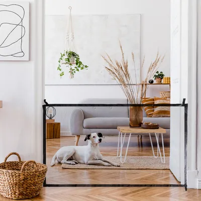 Barrière de sécurité en maille pour animaux