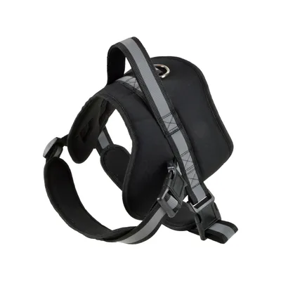 Harnais pour Chien Harnais pour Chien