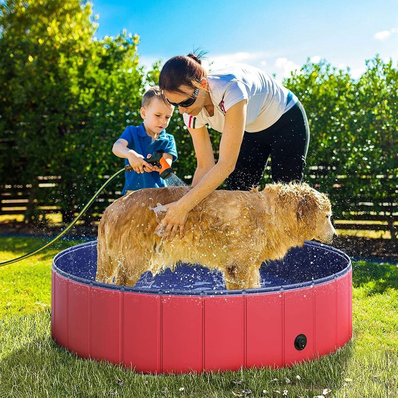 Qinhul Piscine pliable pour chats et chiens