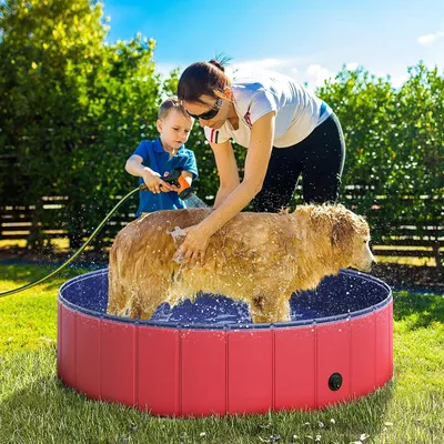 Qinhul Piscine pliable pour chats et chiens