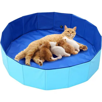 Qinhul Piscina plegable para gatos y perros