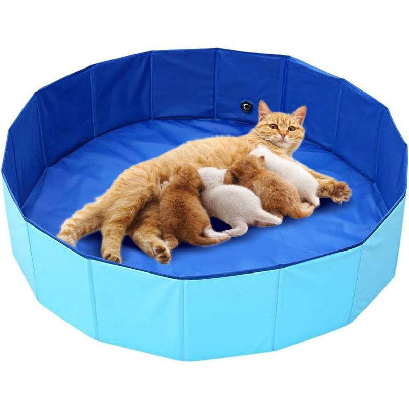 Qinhul Piscine pliable pour chats et chiens