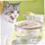 Qinhul Fontaine à eau automatique pour chat