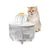 Qinhul Fontaine à eau automatique pour chat Qinhul Fontaine à eau automatique pour chat