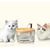 Qinhul Fontaine à eau automatique pour chat