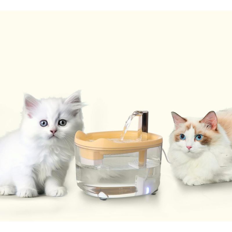 Qinhul Fontaine à eau automatique pour chat