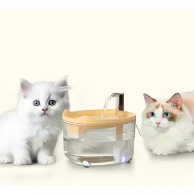 Qinhul Fontaine à eau automatique pour chat
