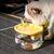 Qinhul Fontaine à eau automatique pour chat