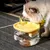 Qinhul Fontaine à eau automatique pour chat