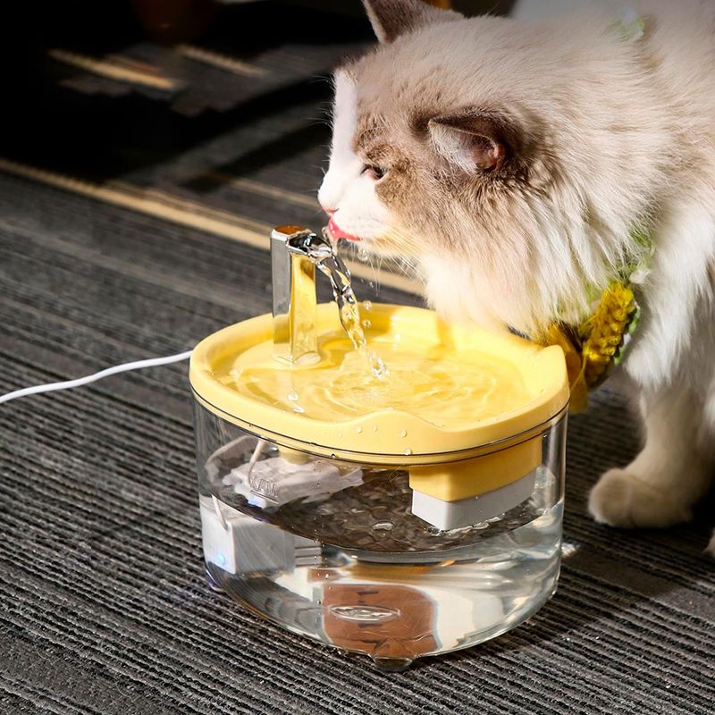 Qinhul Fontaine à eau automatique pour chat