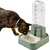 Qinhul Distributeur d'eau automatique pour chats et chiens