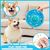 Qinhul Frisbee en forme de nourriture pour chien
