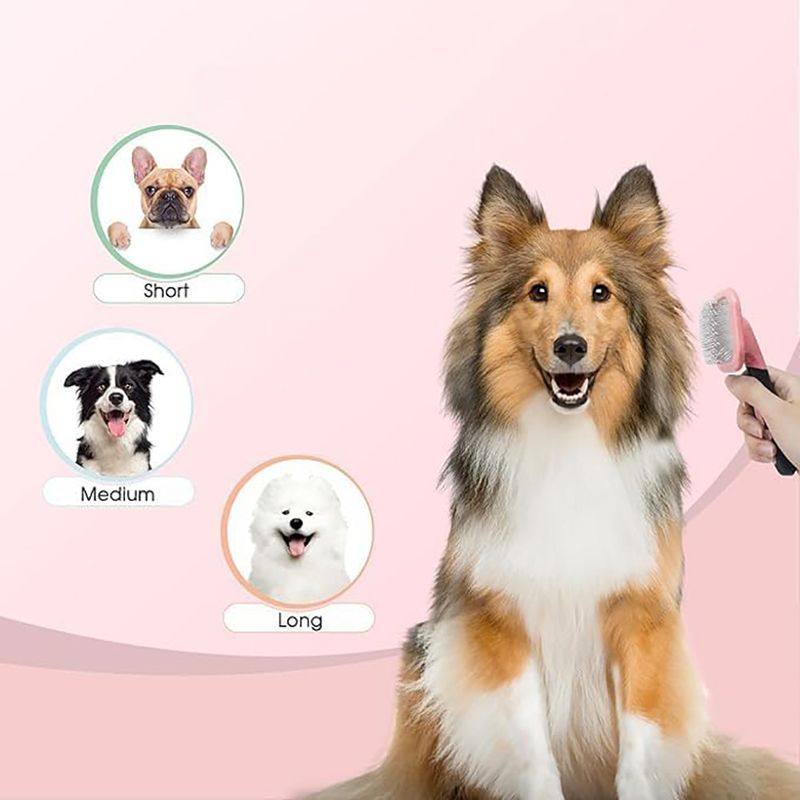 Qinhul Peigne rotatif pour chats et chiens