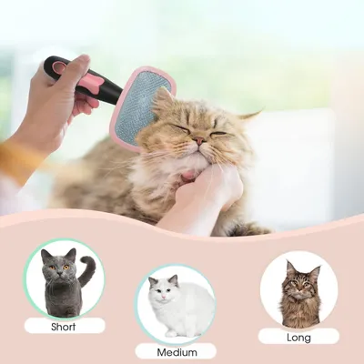 Qinhul Peigne rotatif pour chats et chiens