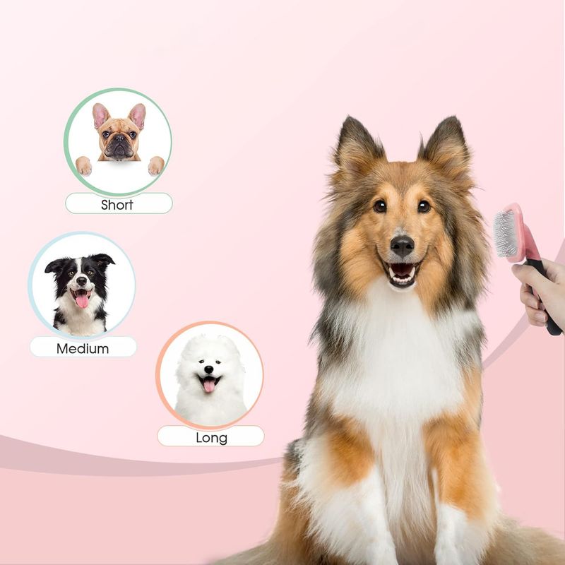 Qinhul Peigne rotatif pour chats et chiens
