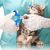 Qinhul Kit de nettoyage et de toilettage pour chat