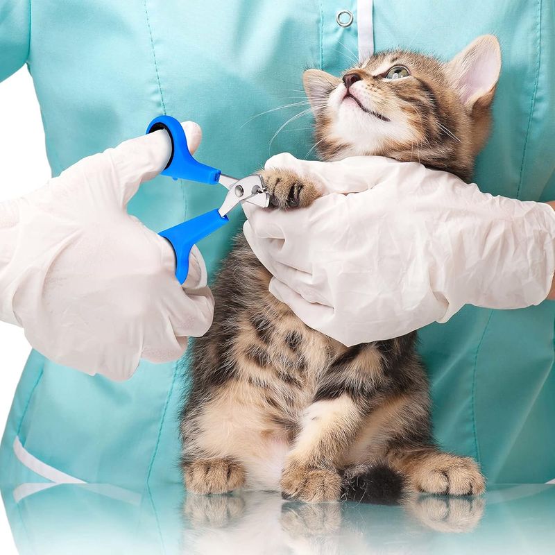 Qinhul Kit de nettoyage et de toilettage pour chat