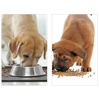Qinhul Tapis de nourriture antidérapant en silicone pour chats et chiens Qinhul Tapis de nourriture antidérapant en silicone pour chats et chiens