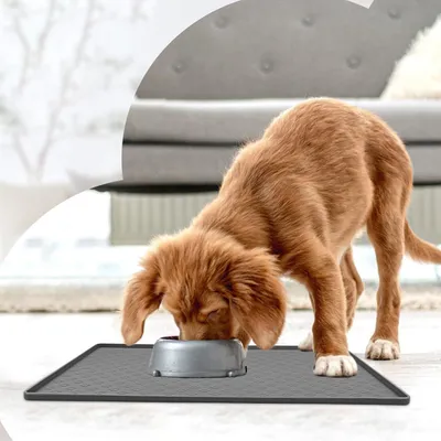 Qinhul Alfombrilla antideslizante de silicona para comida de gatos y perros