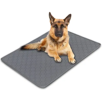 Qinhul Coussinets lavables et réutilisables pour pipi de chien