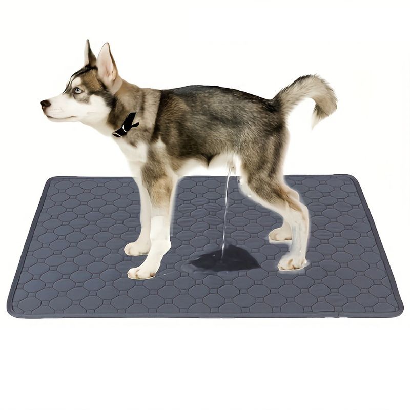 Qinhul Coussinets lavables et réutilisables pour pipi de chien