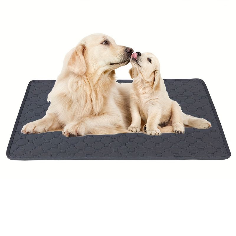 Qinhul Coussinets lavables et réutilisables pour pipi de chien