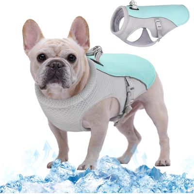 Gilet rafraîchissant pour chien