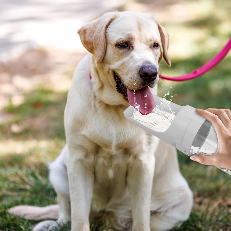 Qinhul Bouteille d'eau pliable portable pour chiens