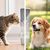Qinhul Bouteille d'eau pliable portable pour chiens