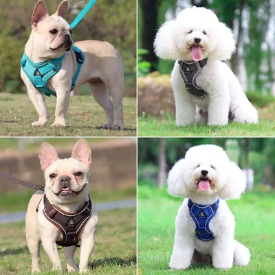 Qinhul Harnais et laisses réfléchissants pour chiens