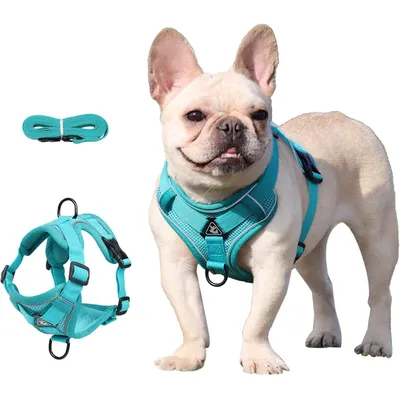 Qinhul Harnais et laisses réfléchissants pour chiens Qinhul Harnais et laisses réfléchissants pour chiens