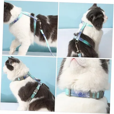 Qinhul Laisse réglable pour chat Qinhul Laisse réglable pour chat