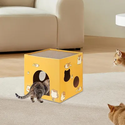 Qinhul Maison pliable pour chat à double couche