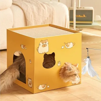 Qinhul Maison pliable pour chat à double couche